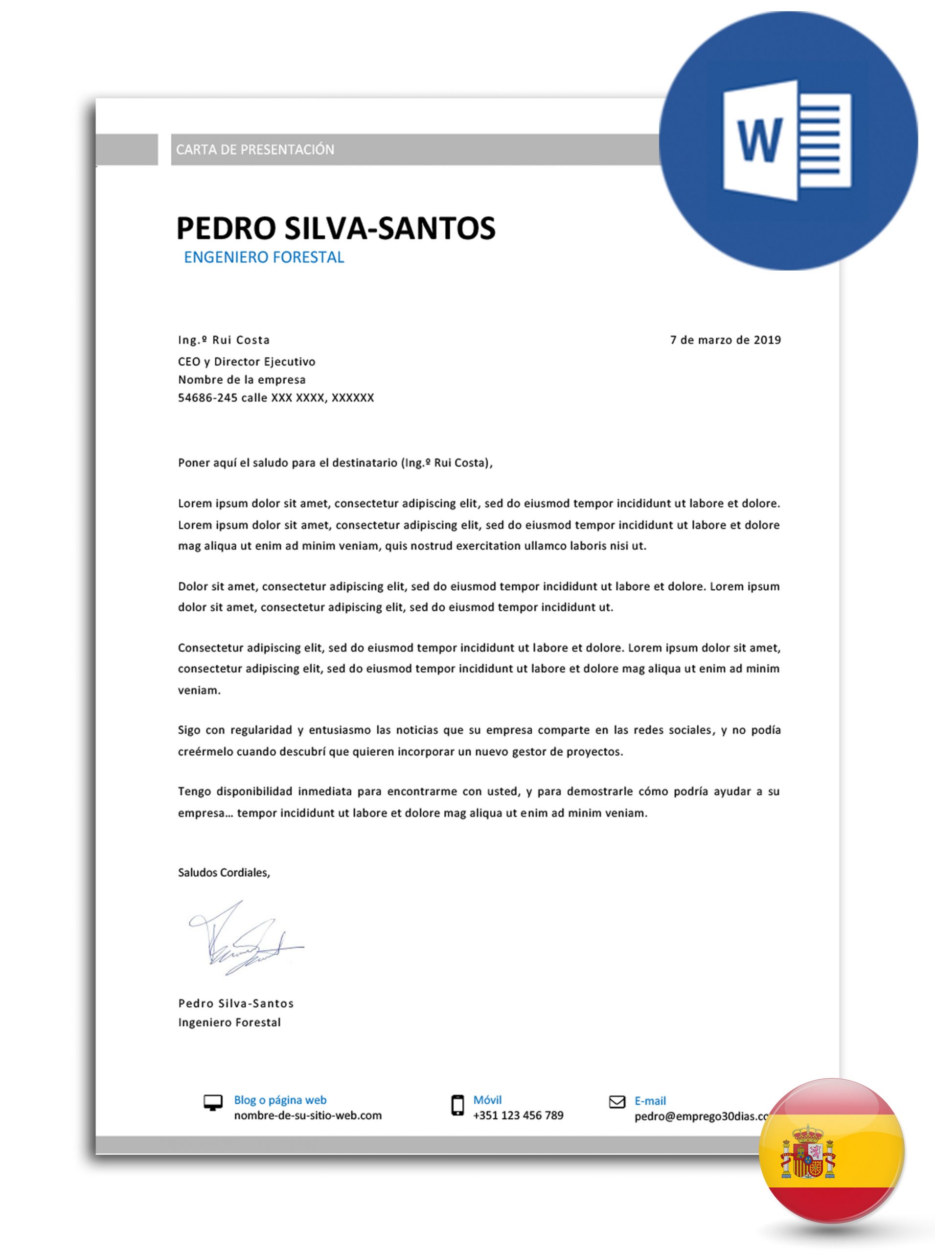 Carta De Apresentação Simples Pronta Para Copiar